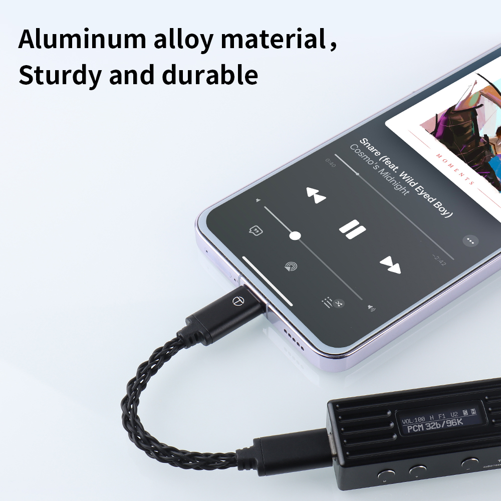 TRN To Conversion Line Type-C  - Usb C Earphone ulasan dan harga